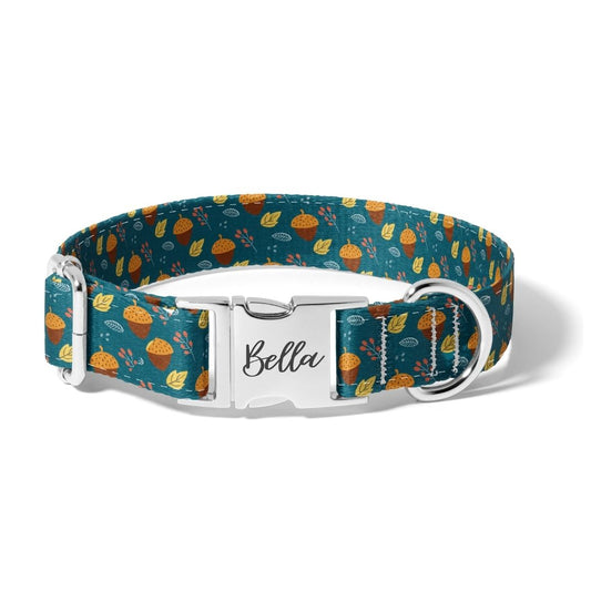 Fall Acorn Blues Dog Collar