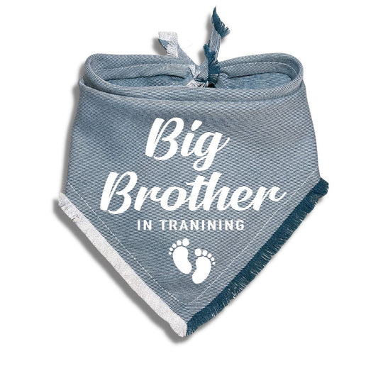 Big Brother In Training Bandana