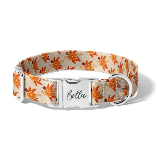 Fall Sweet Citrus Autumn Dog Collar