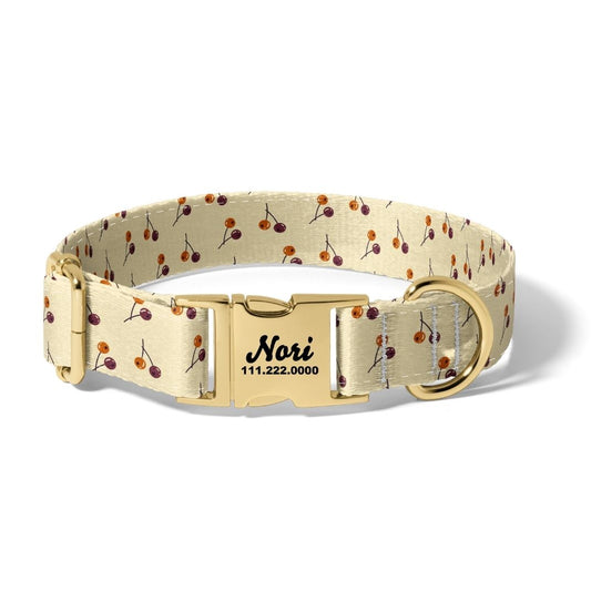 Fall Berry Autumn Dog Collar