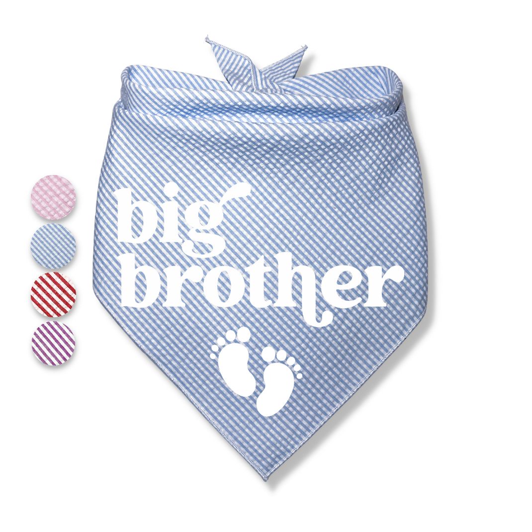 Big Brother Big Sister Baby Feet Bandana