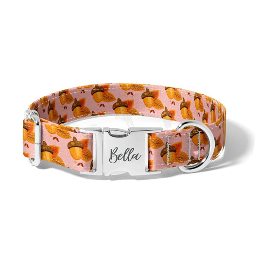 Fall Acorn and Leaves Dog Collar