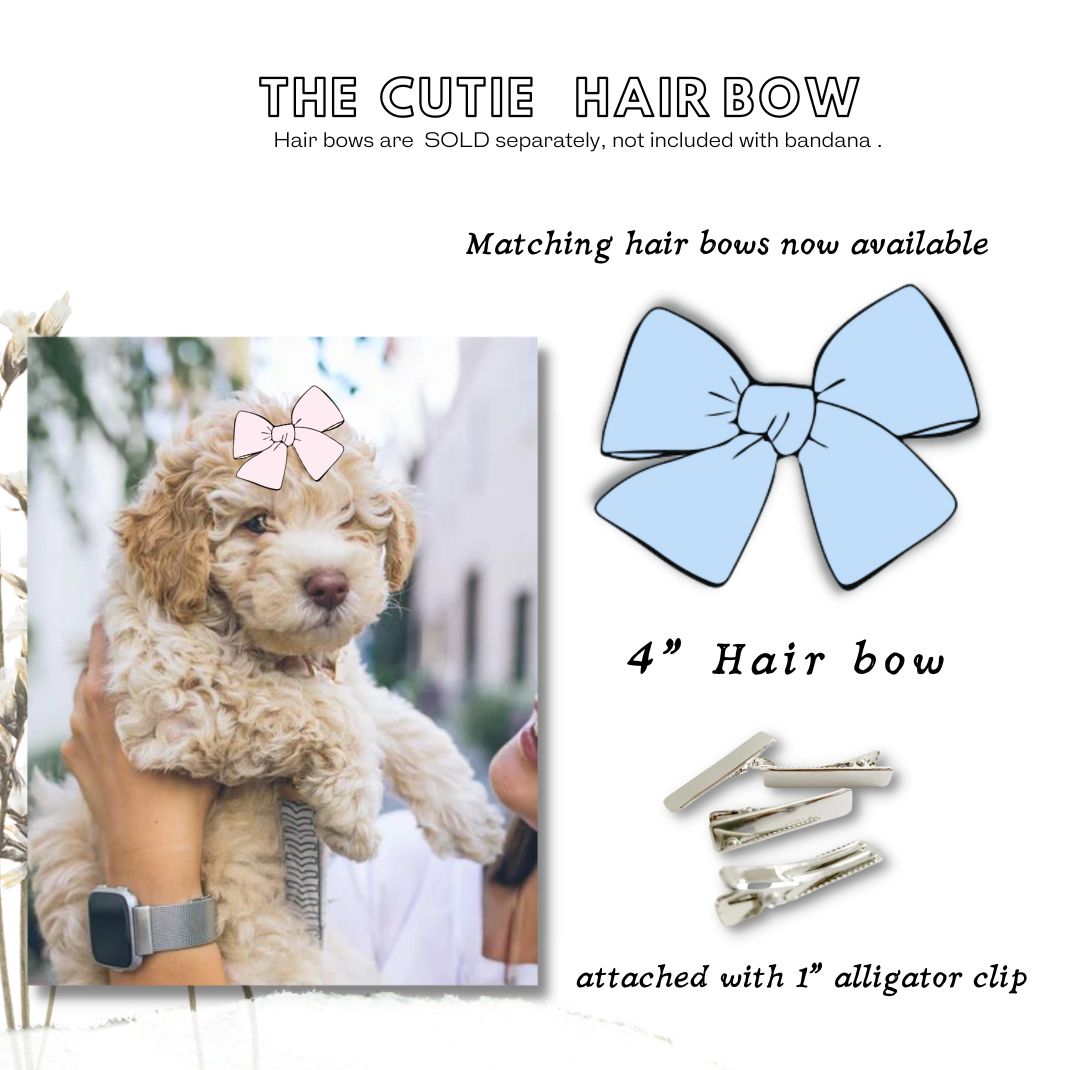 Were Expecting Date Bandana