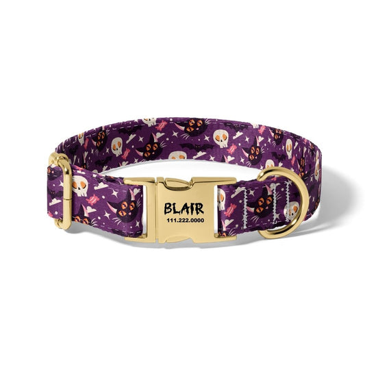 Halloween Skulls and Cats Dog Collar