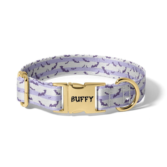 Halloween Sweet Bats Dog Collar