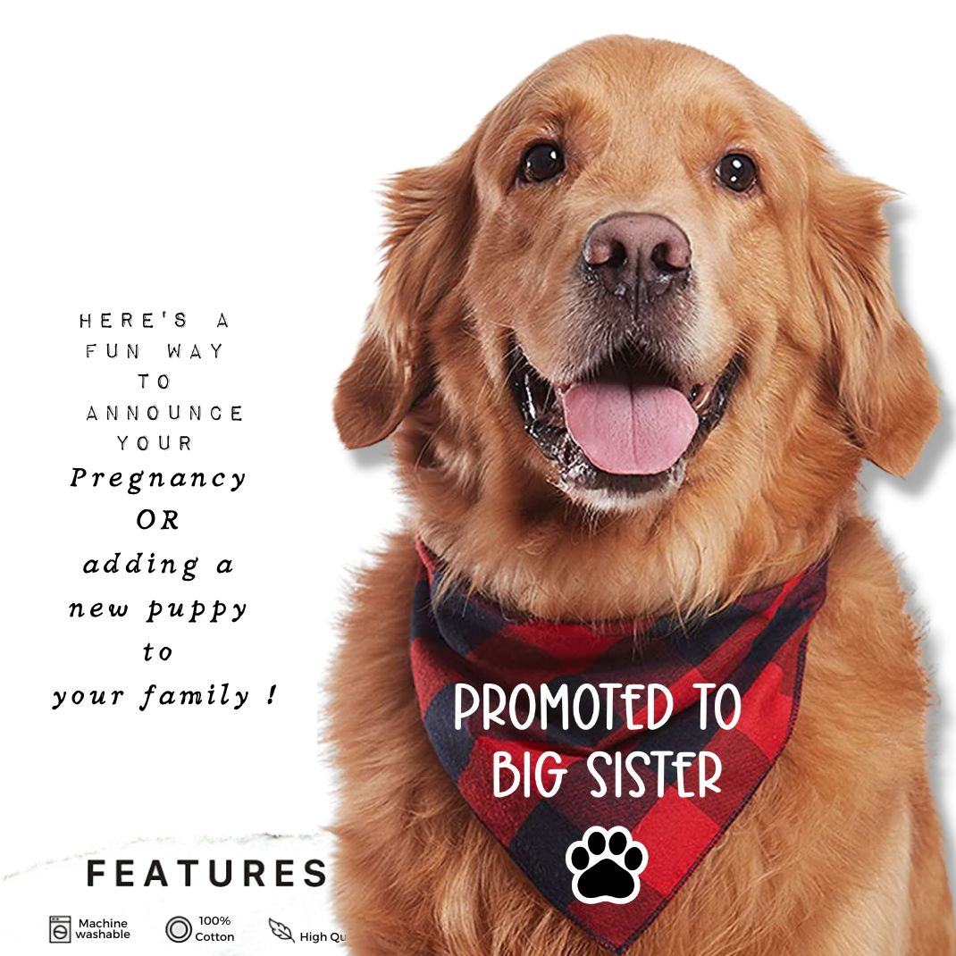 Promoted to Big Brother Big Sister Flannel Bandana