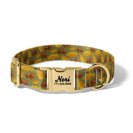 Fall Acorns on Acorns Dog Collar