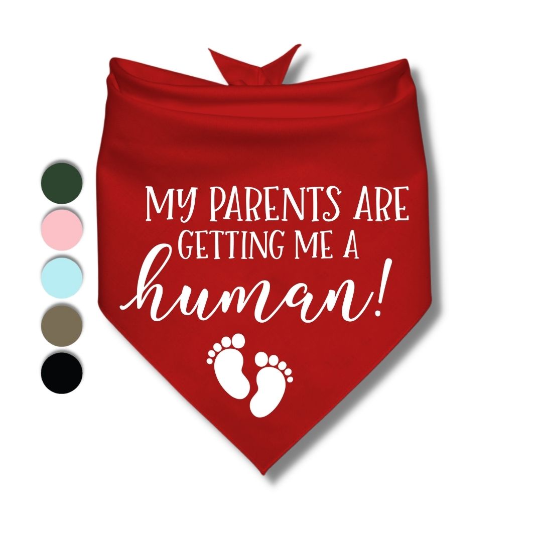 My Parents Are Getting Me A Human Bandana