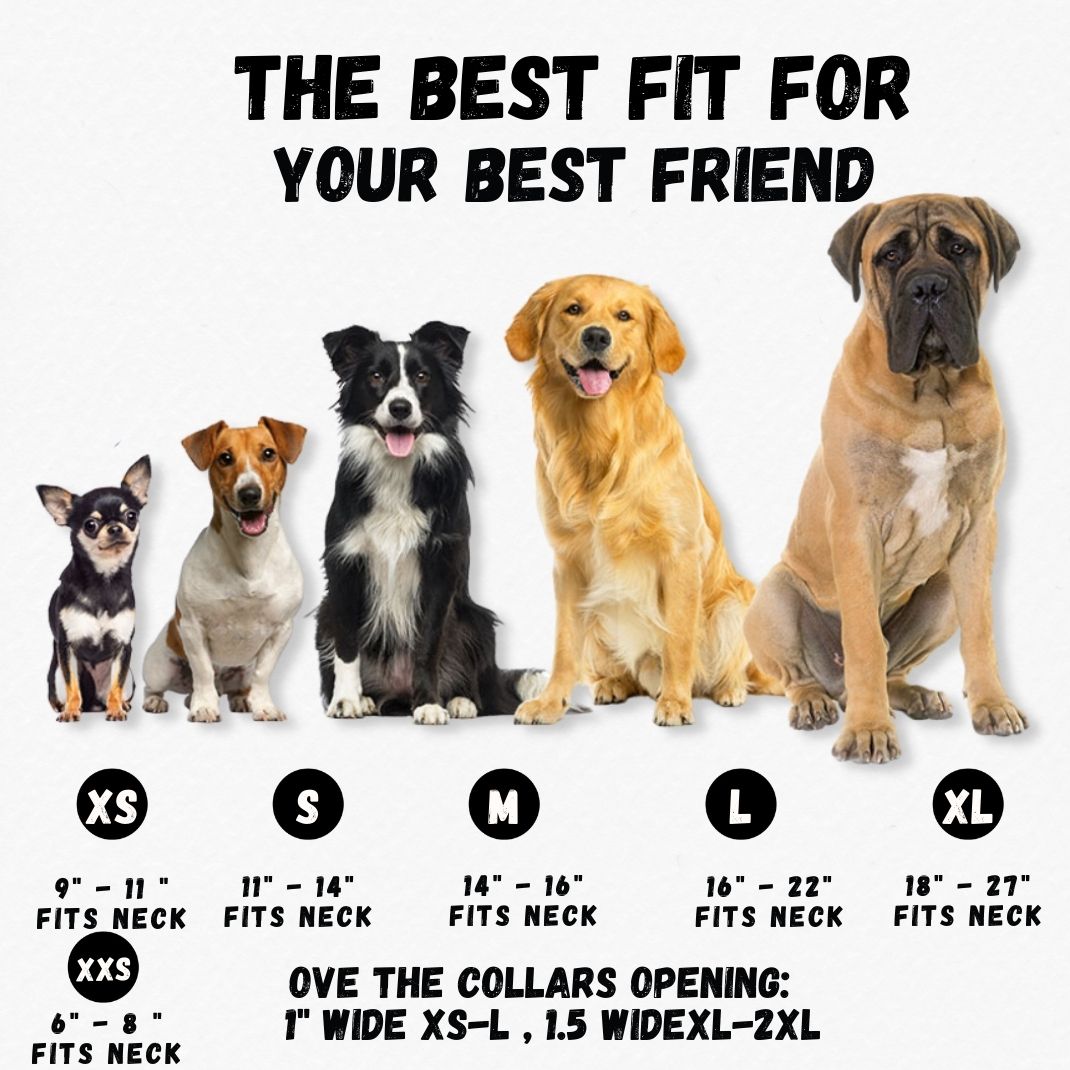 Halloween Frankie Parts Dog Collar