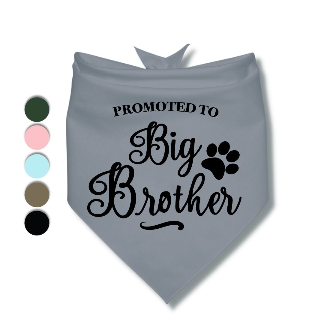 Promoted to Big Brother Bandana