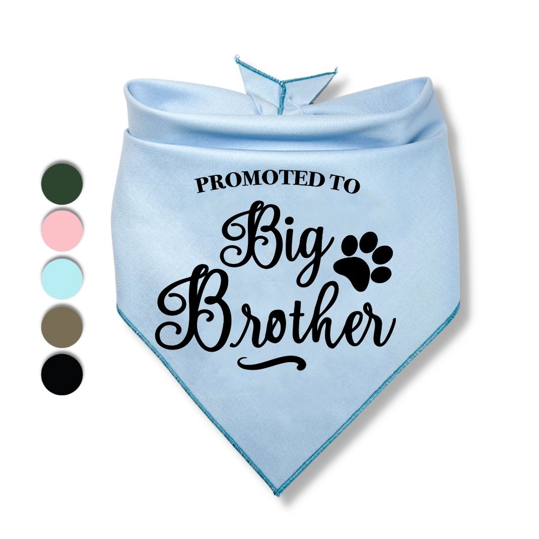 Promoted to Big Brother Bandana