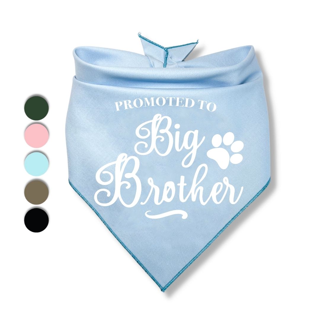Promoted to Big Brother Bandana