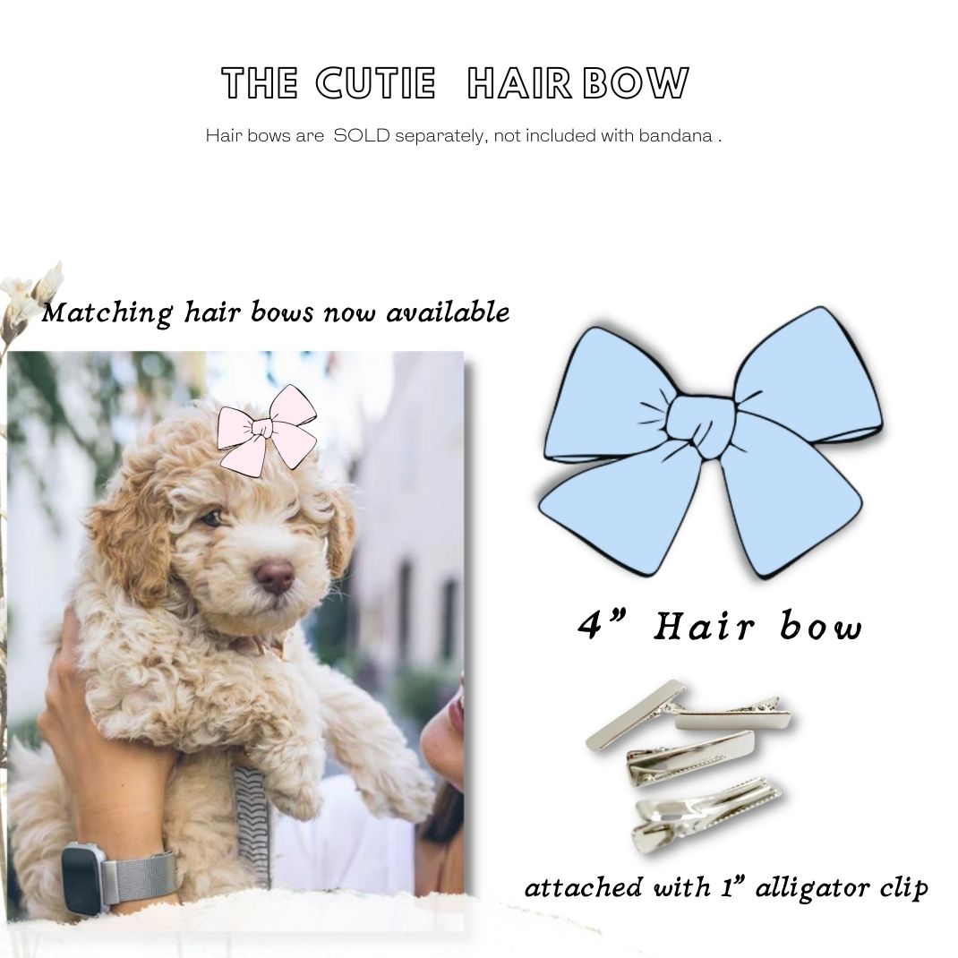 Juris Dogtor Modern Bandana