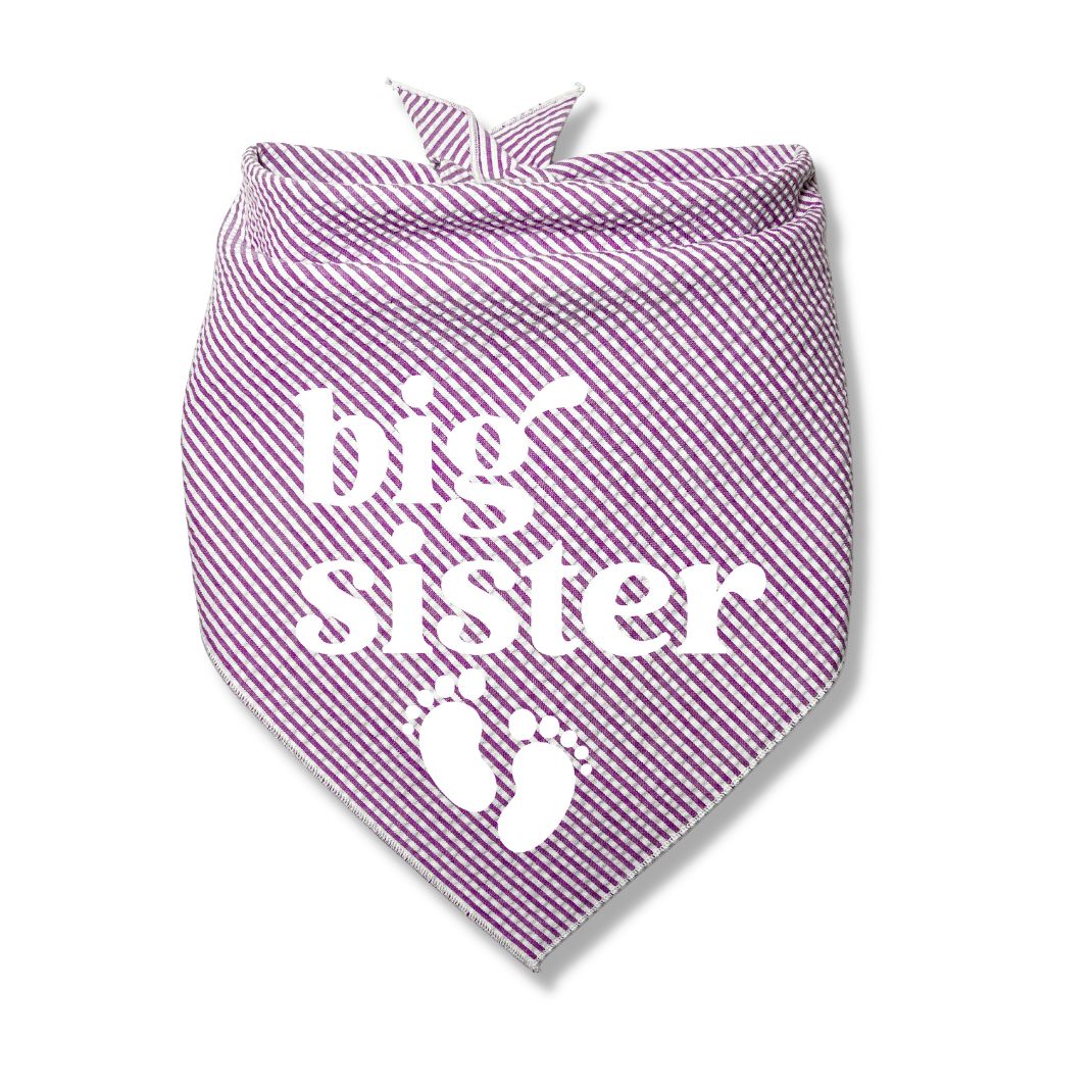 Big Brother Big Sister Baby Feet Bandana