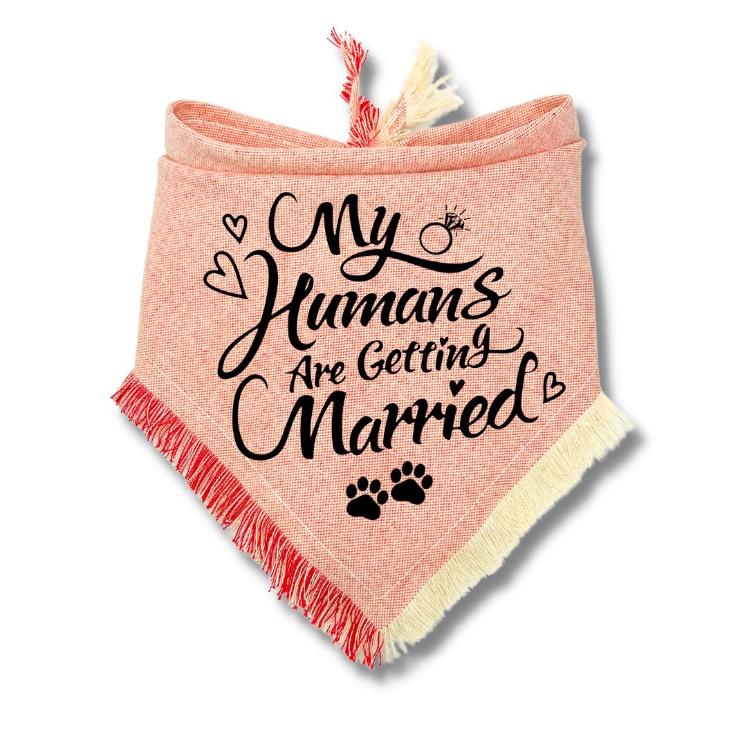 My Humans Are Getting Married Frayed Bandana