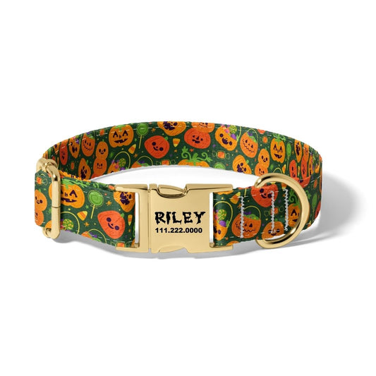 Halloween Jack o Lantern Dog Collar