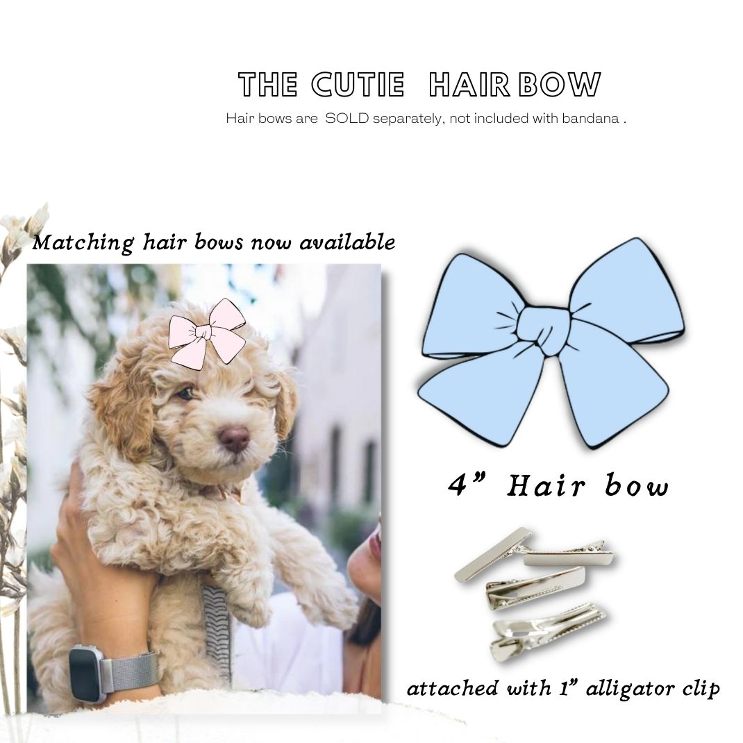 Juris Dogtor Script Bandana