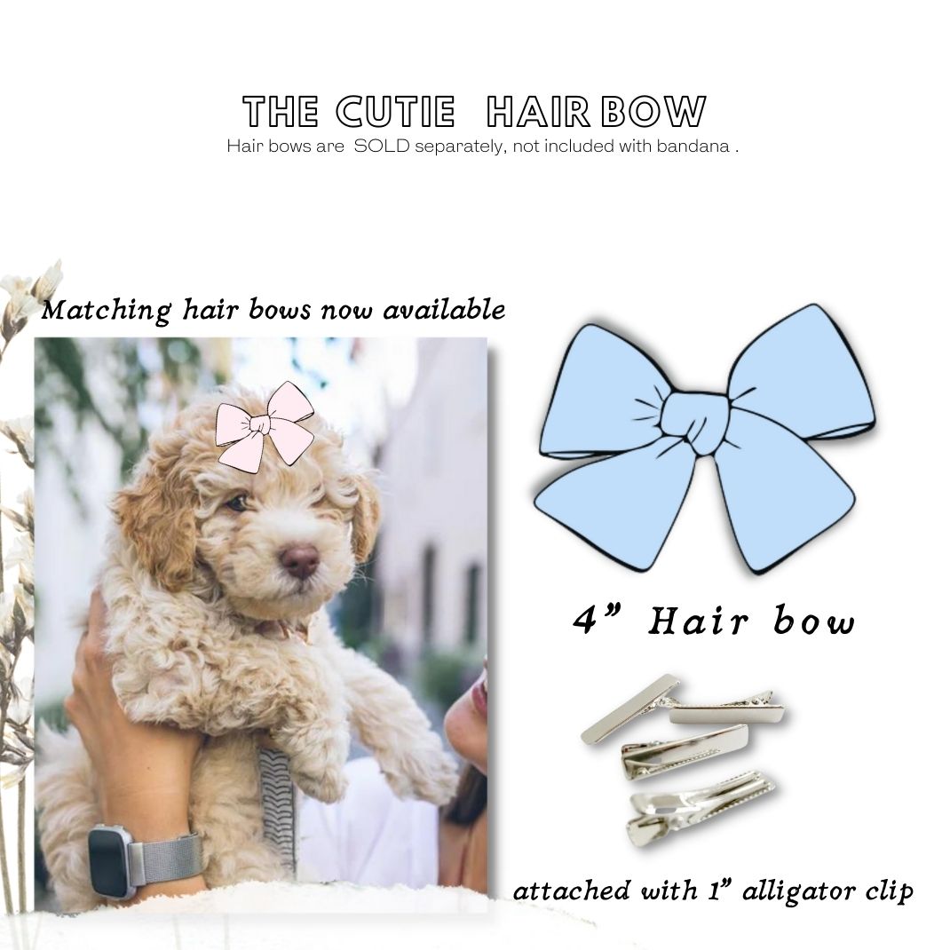 My Mom Mastered It Bandana