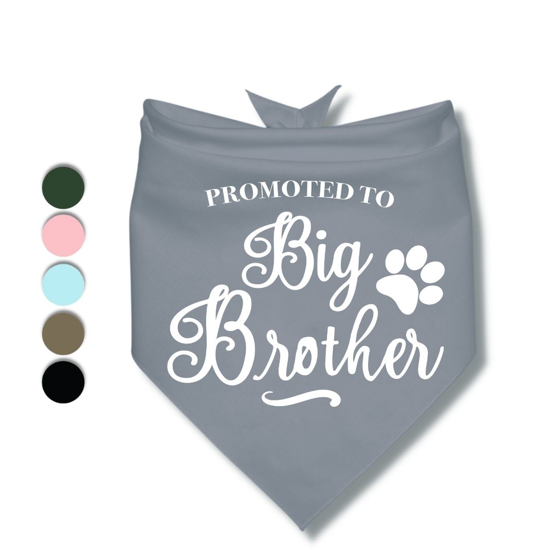 Promoted to Big Brother Bandana