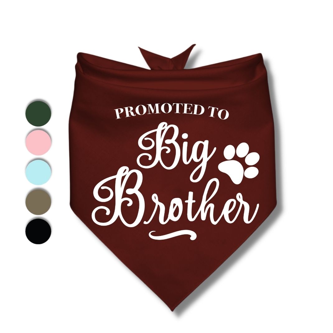 Promoted to Big Brother Bandana