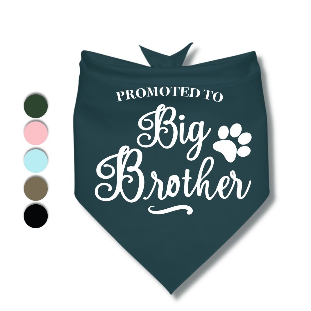 Promoted to Big Brother Bandana