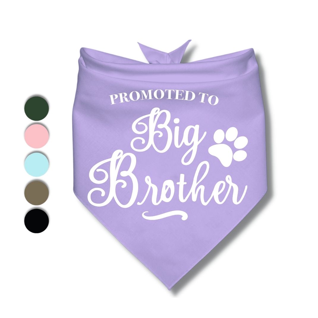 Promoted to Big Brother Bandana