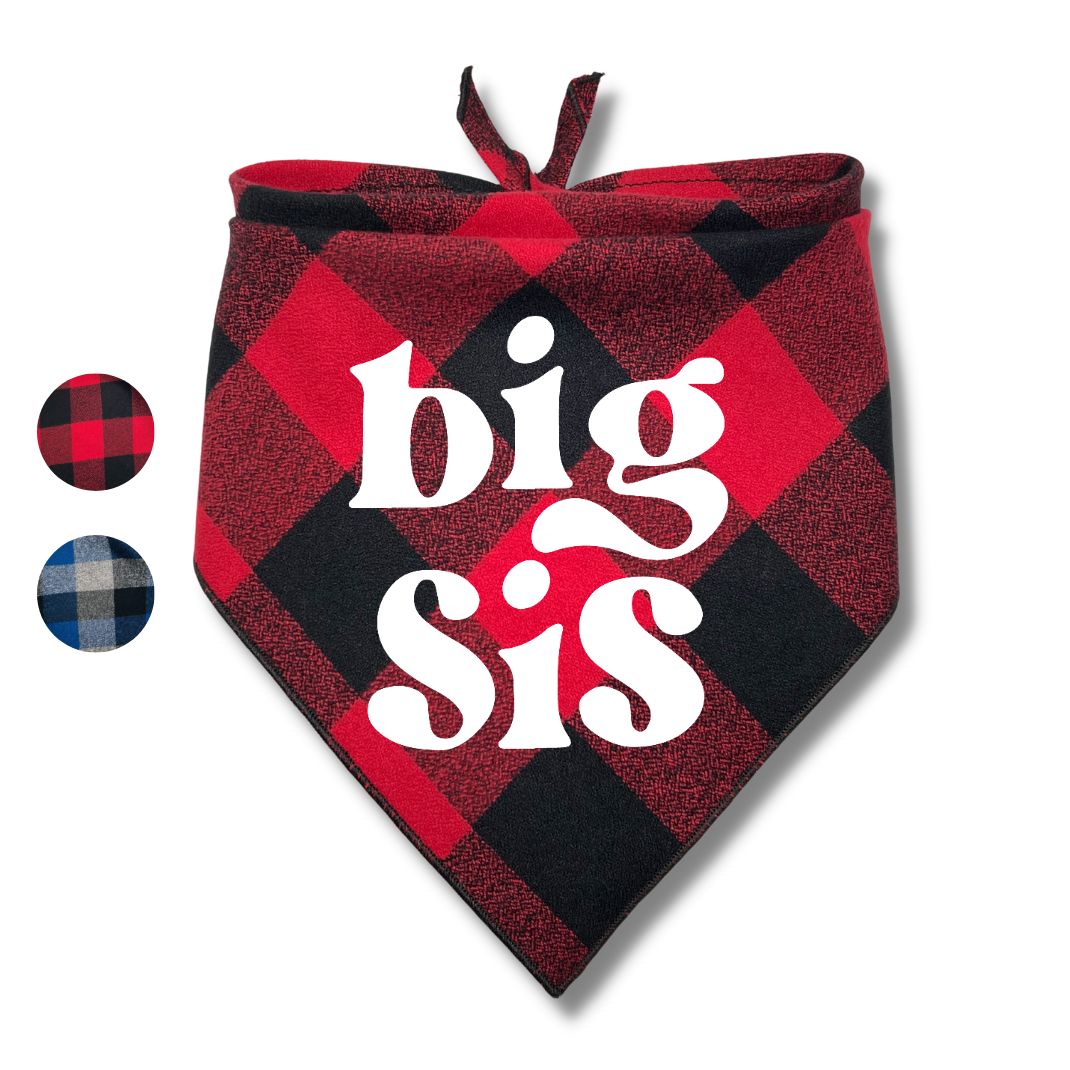 Big Bro Big Sis Flannel Bandana
