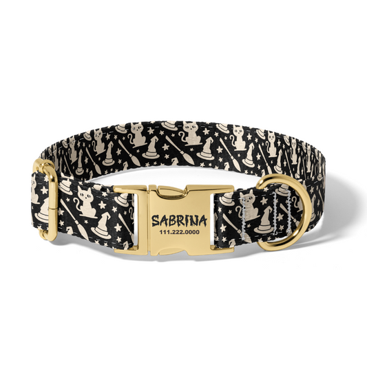 Halloween Witchy Cats Dog Collar