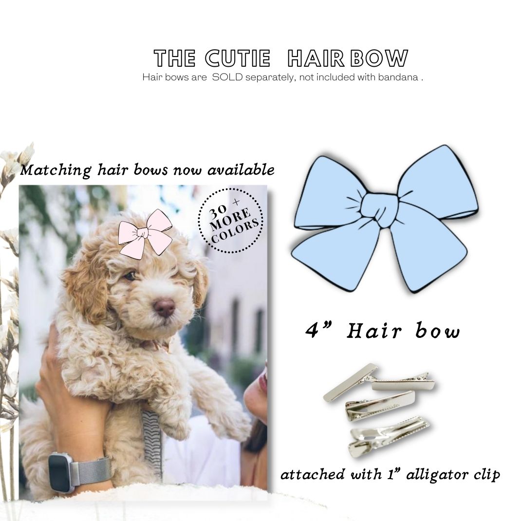 Promoted to Big Sister Bandana