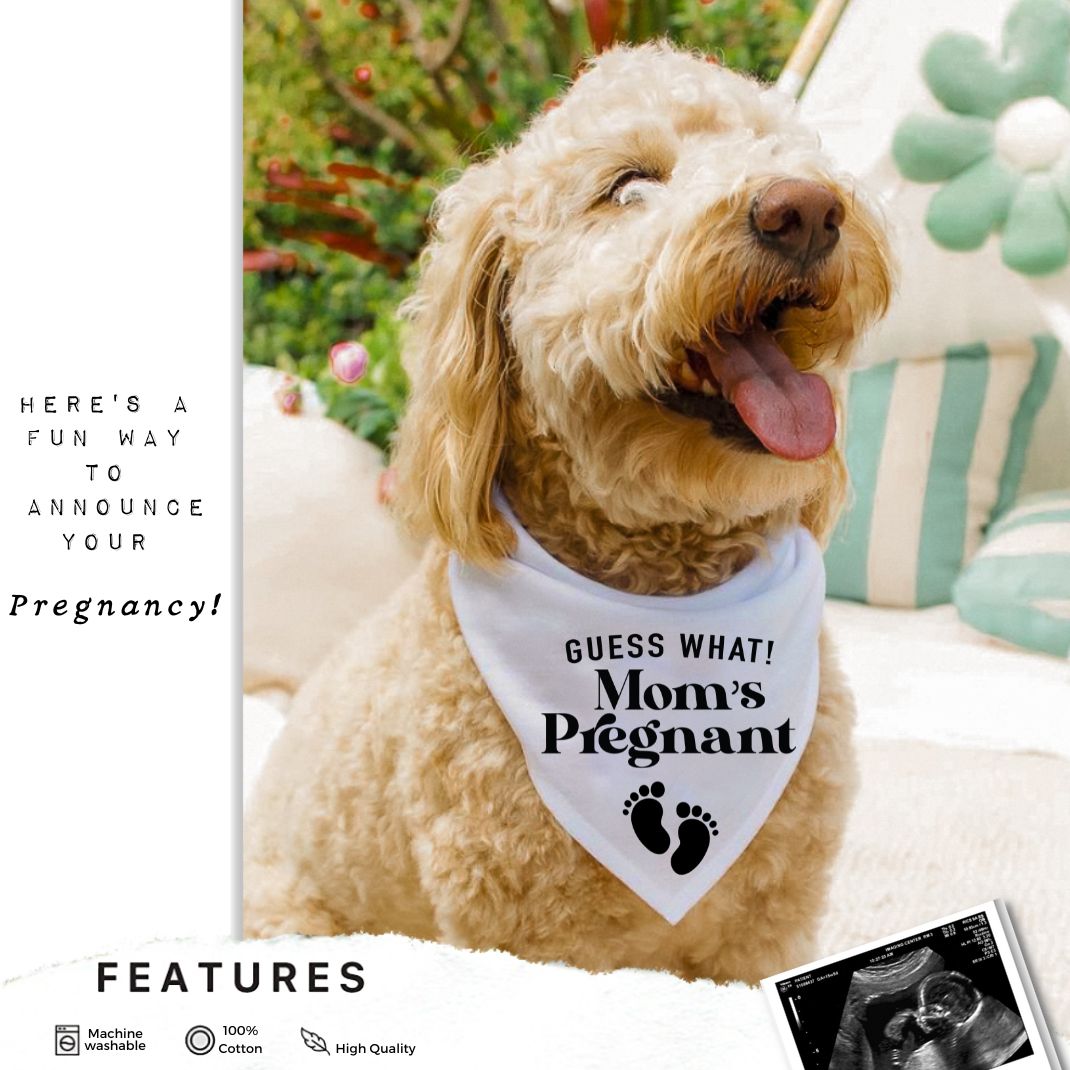 Guess What Moms Pregnant Baby Feet Bandana