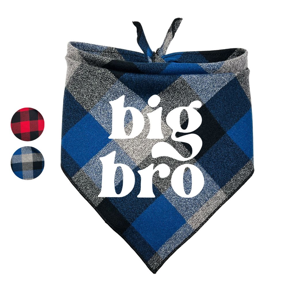 Big Bro Big Sis Flannel Bandana