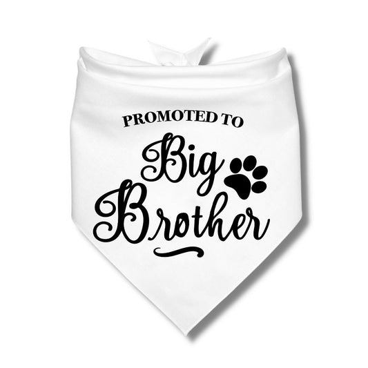 Promoted to Big Brother Bandana