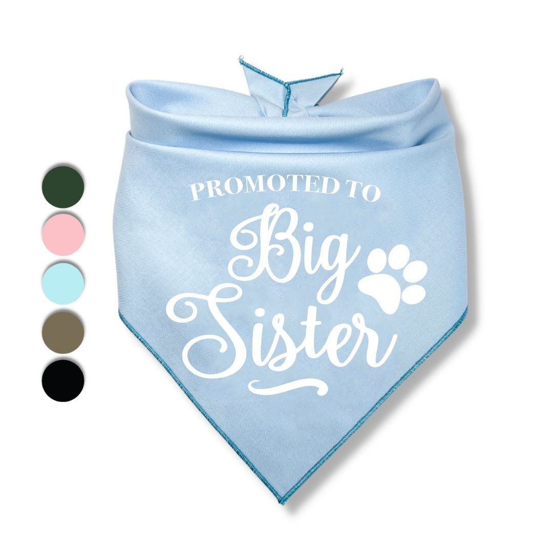 Promoted to Big Sister Bandana