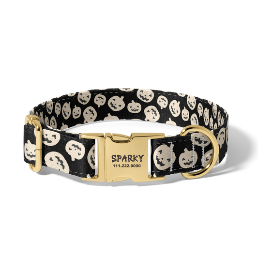 Halloween Smash Pumpkins Dog Collar