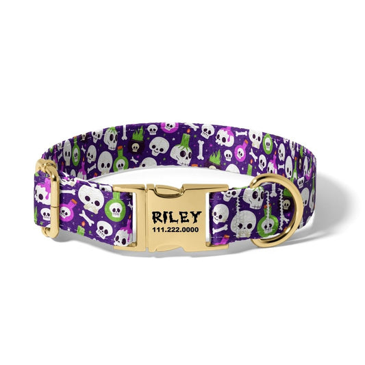 Halloween Potions and Skulls Dog Collar