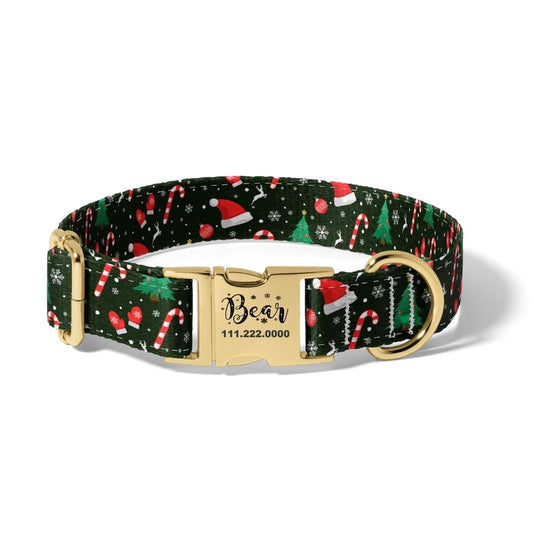 Christmas Winter Fun Dog Collar