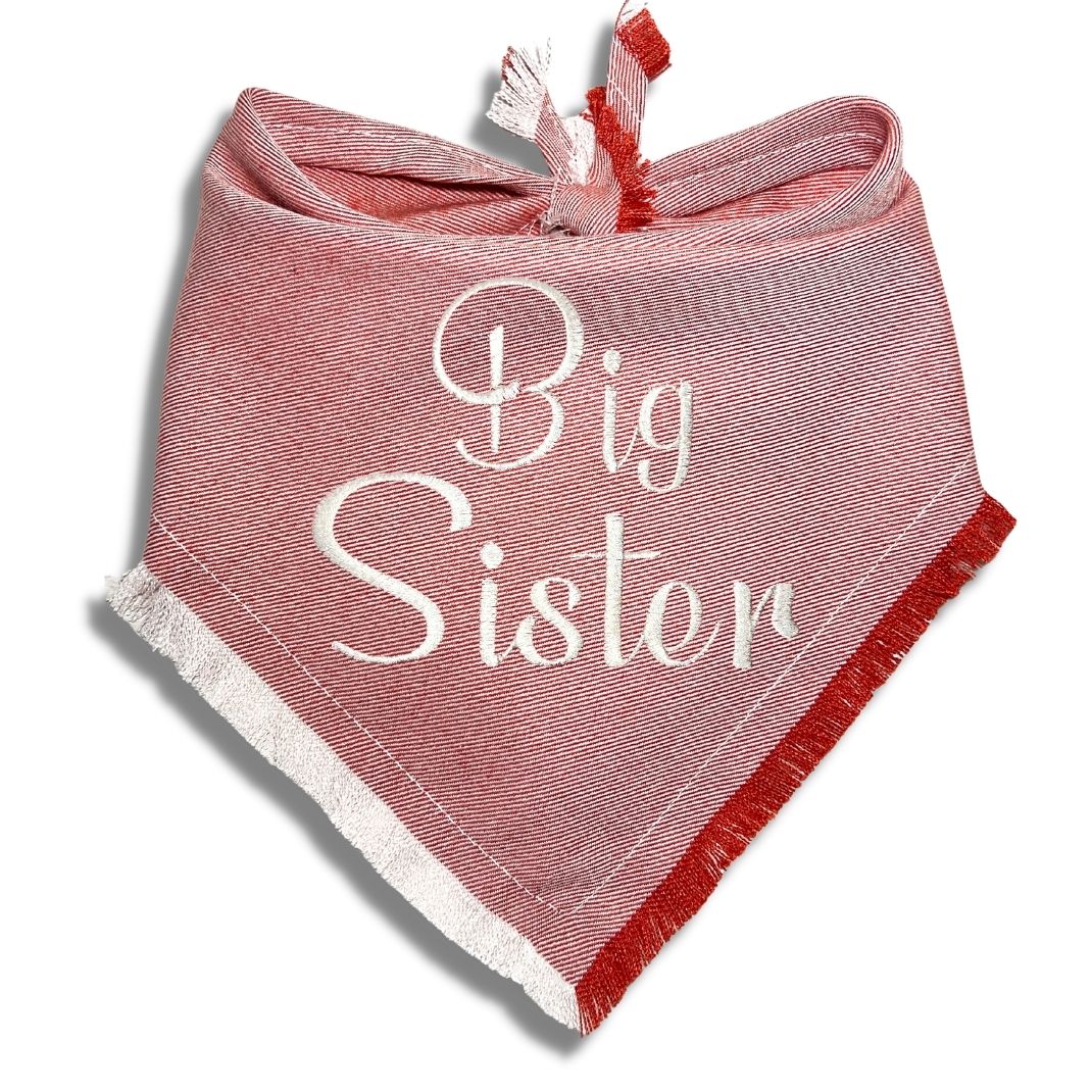 Big Sister Big Brother Bandana
