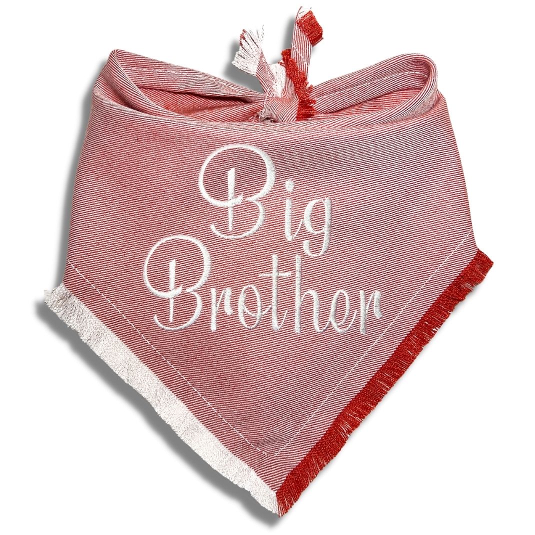 Big Sister Big Brother Bandana