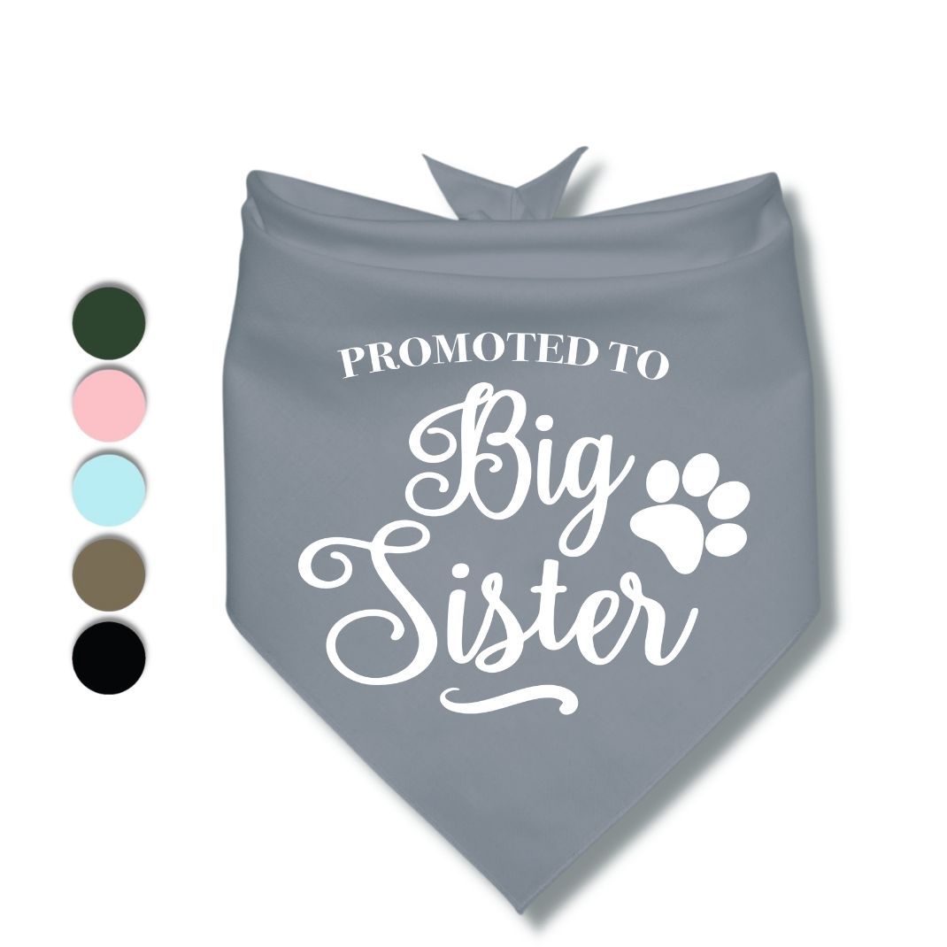 Promoted to Big Sister Bandana