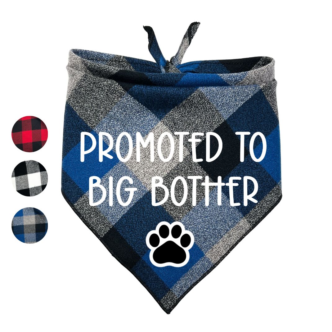 Promoted to Big Brother Big Sister Flannel Bandana