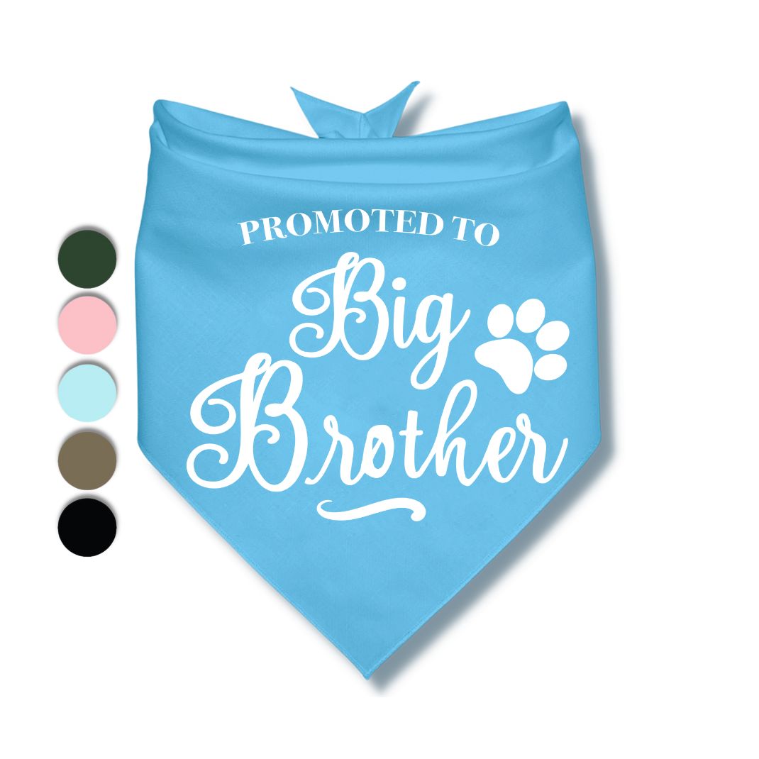 Promoted to Big Brother Bandana