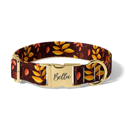Fall Colors of Fall Dog Collar
