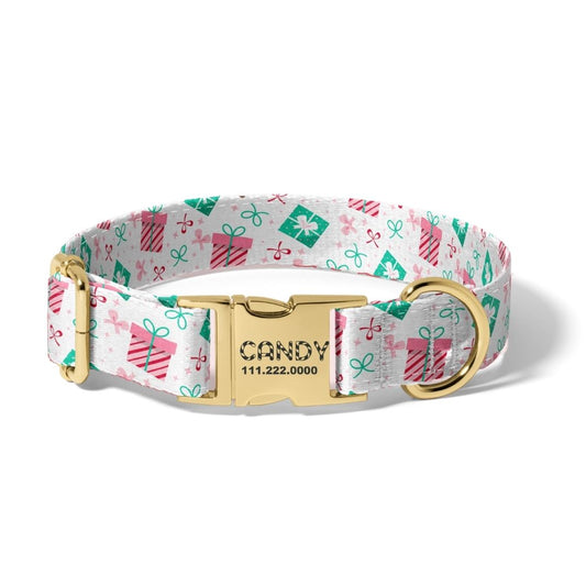 Christmas Paws and Presents Dog Collar