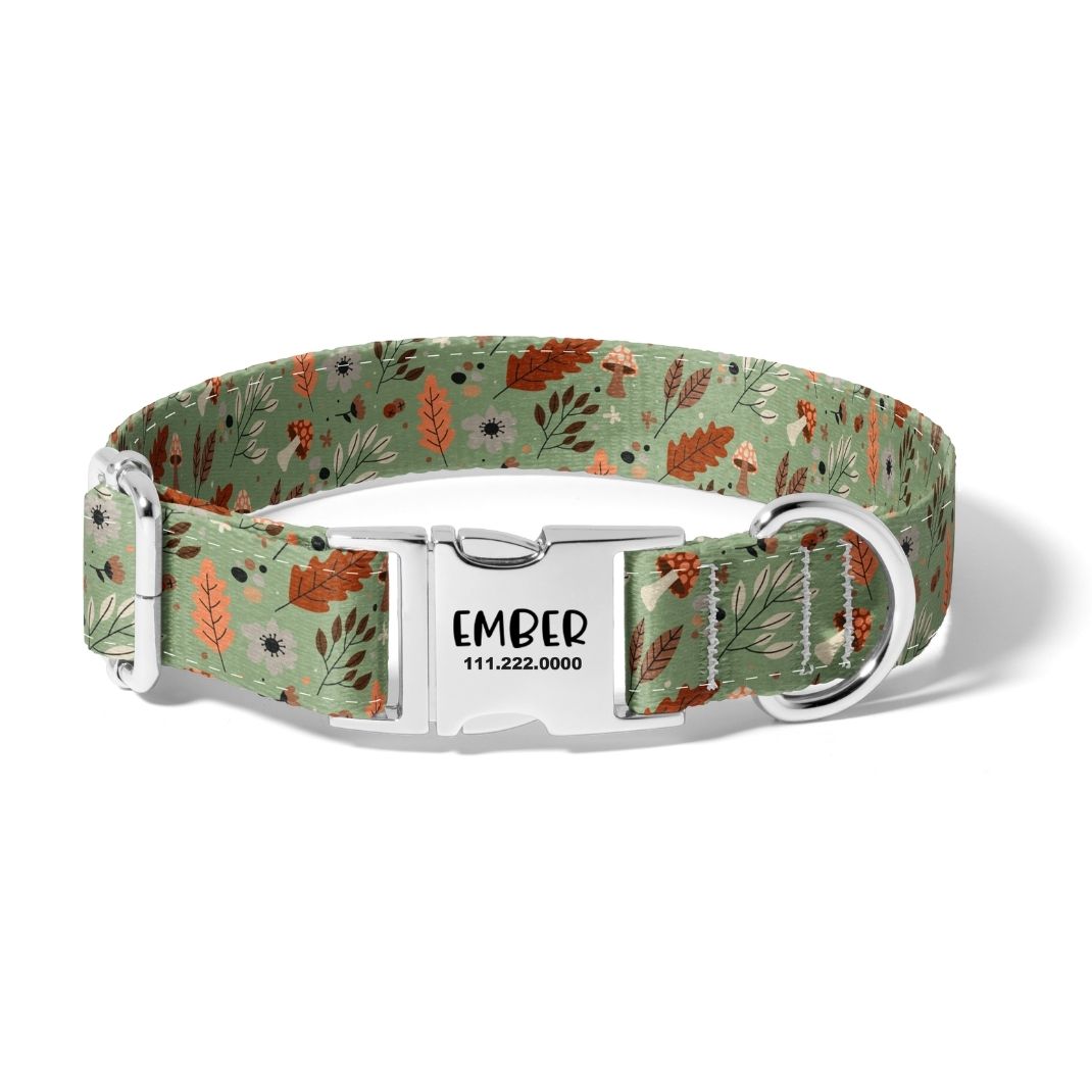 Fall Leaves Dog Collar