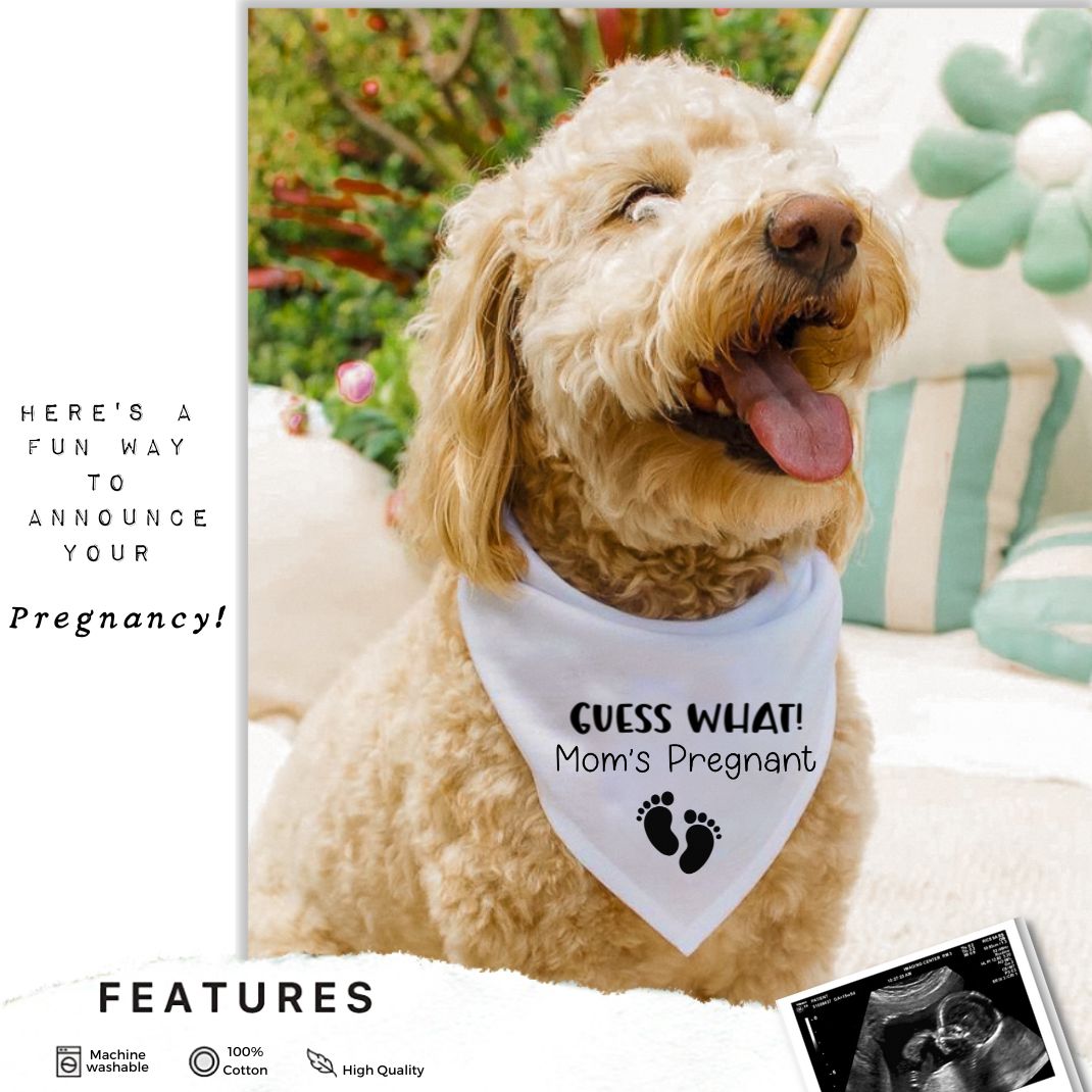 Guess What Moms Pregnant Baby Feet Bandana