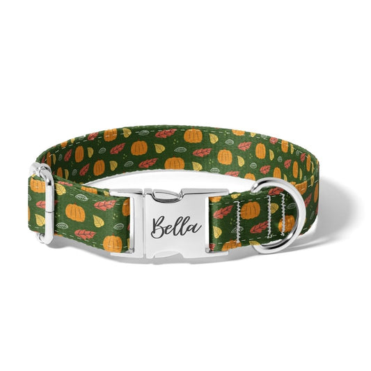 Fall Leaves and Pumpkins Dog Collar