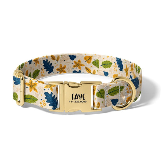 Fall Colors of Autumn Dog Collar
