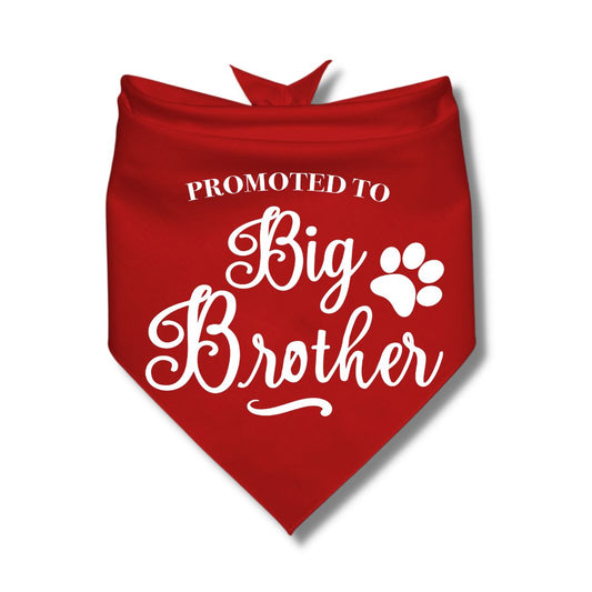 Promoted to Big Brother Bandana
