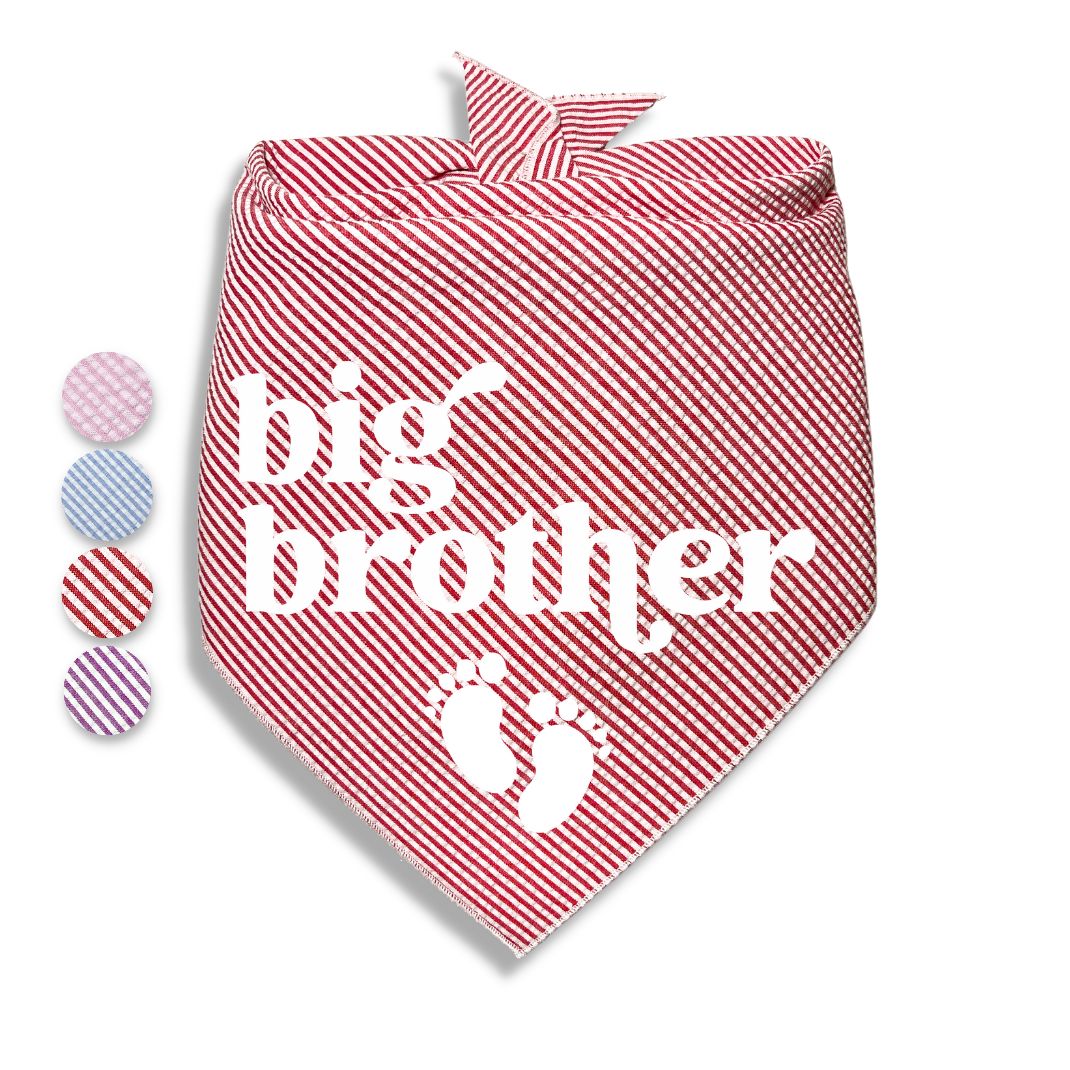 Big Brother Big Sister Baby Feet Bandana