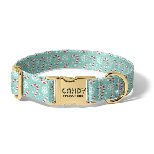 Christmas Candy Cane Lane Dog Collar